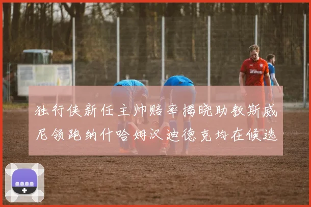 独行侠新任主帅赔率揭晓助教斯威尼领跑纳什哈姆汉迪德克均在候选之中